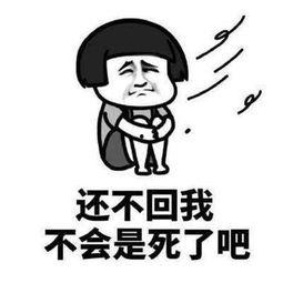 吃瓜表情包怎么回复女孩子呢,幽默回应女孩子的创意技巧