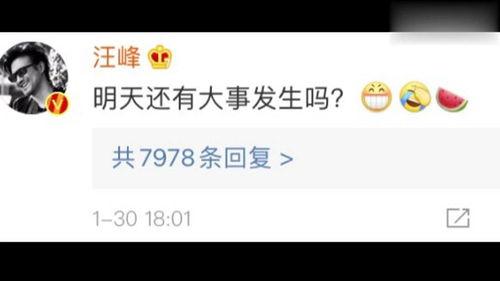 娱乐吃瓜经纪公司,吃瓜群众背后的经纪公司风云录