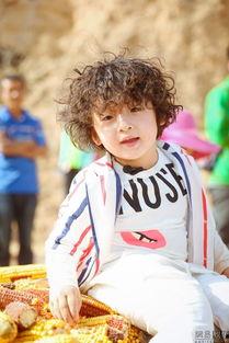 吃瓜星娱乐高依诺,吃瓜星娱乐界的璀璨新星