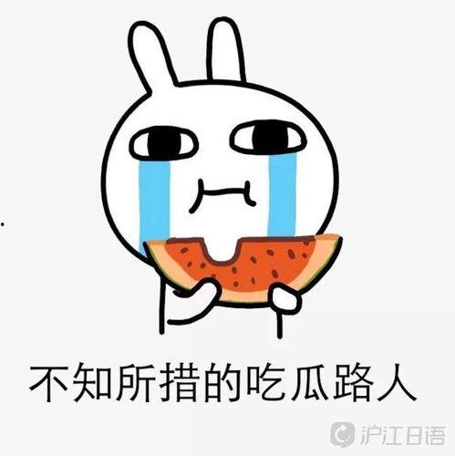 娱乐吃瓜叭,吃瓜群众必备的八卦盛宴