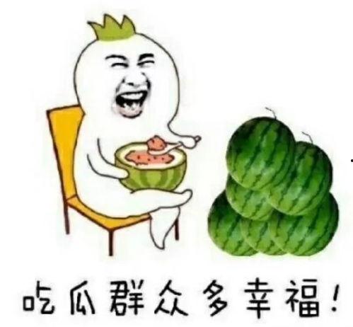 郑州吃瓜娱乐,揭秘城市生活趣味瞬间