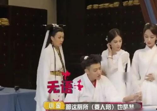 娱乐圈吃瓜爆料杨紫肖战,娱乐圈的甜蜜瓜田，揭秘他们的幕后故事